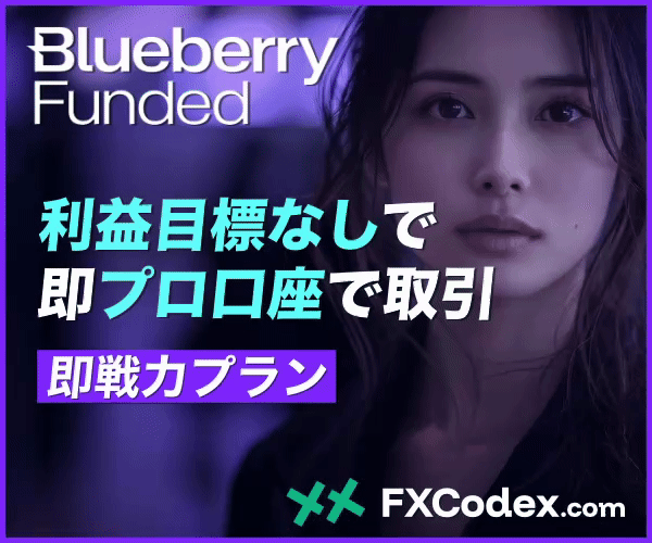 BlueberryFunded (ブルーベリーファンデッド)